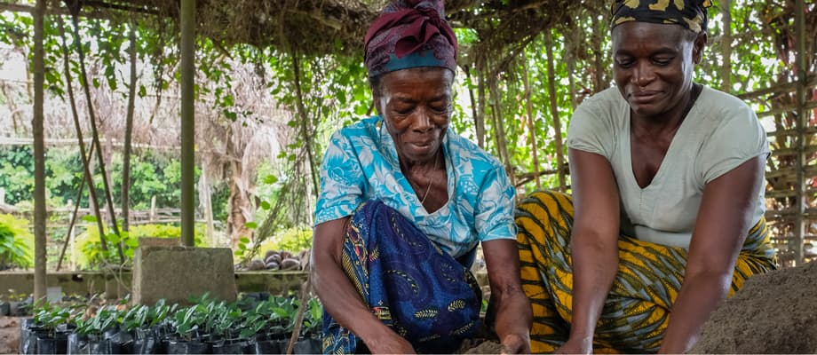 Knowledge and solutions exchange for global change